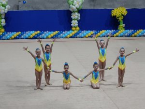 Выступления на соревнованиях в 2015 году