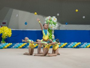 Выступления на соревнованиях в 2015 году