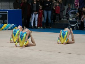 Выступления на соревнованиях в 2015 году