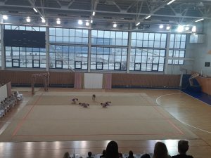 Выступления на соревнованиях в 2020 году