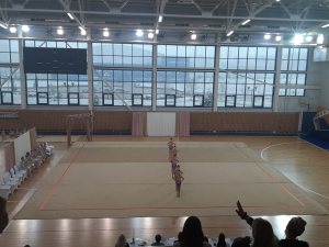 Выступления на соревнованиях в 2020 году