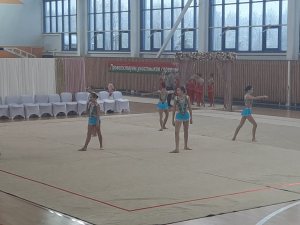 Выступления на соревнованиях в 2020 году